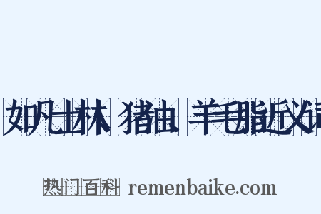 如凡士林、猪油、羊毛脂近义词是什么意思的图片